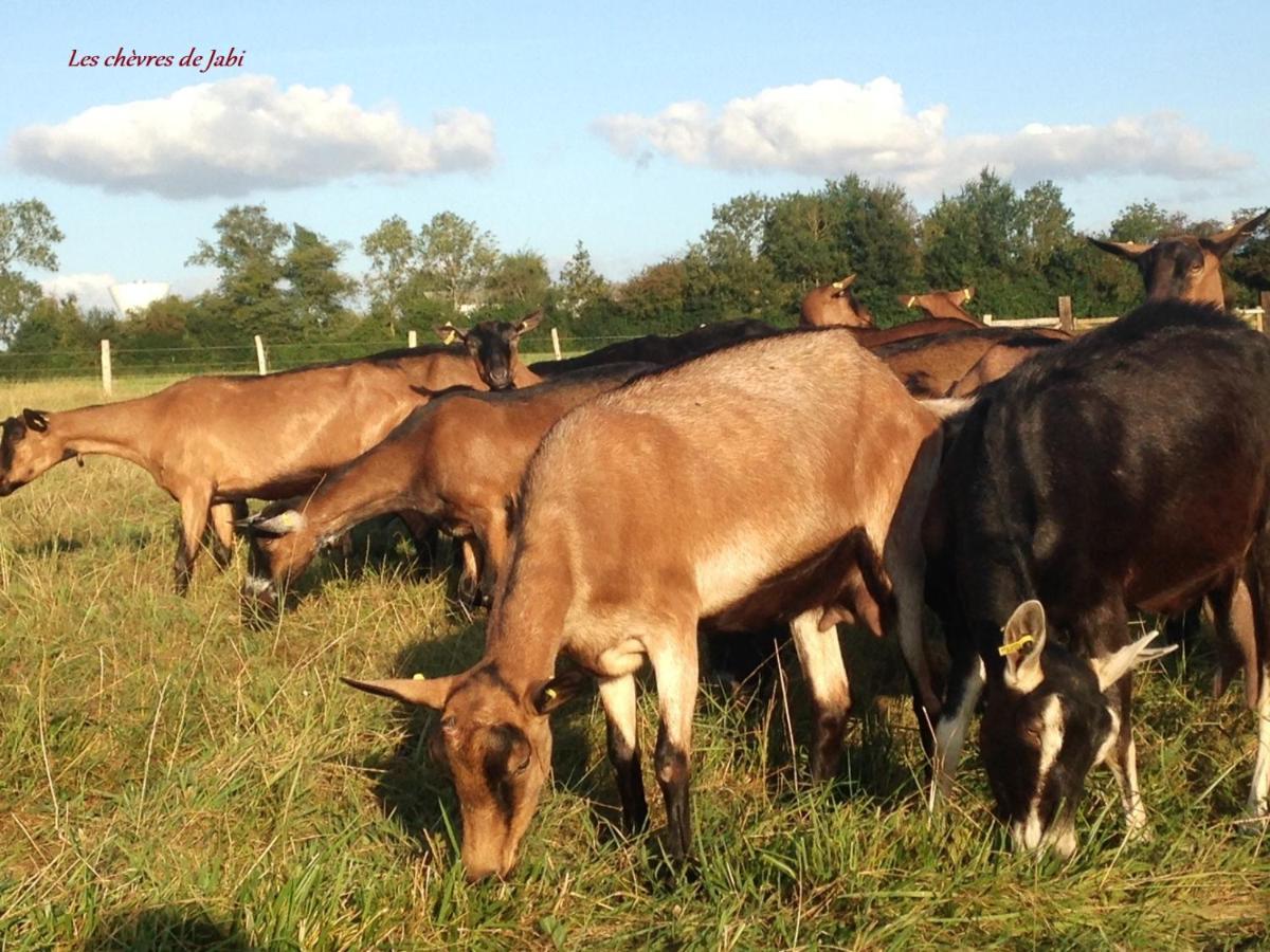 Farm stay La De Jabi *